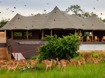 Konkamoya Lodge in Zambia in Kafue National Park. Exclusive Glamping in Africa. Unforgettable holidays in a wild Paradise.